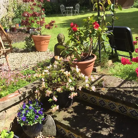 Cosy And Quiet Garden Flat Apartment *