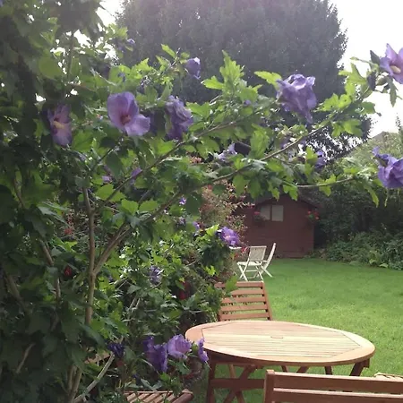 Apartman Cosy And Quiet Garden Flat