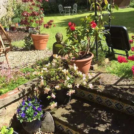 Cosy And Quiet Garden Flat Apartment Bristol