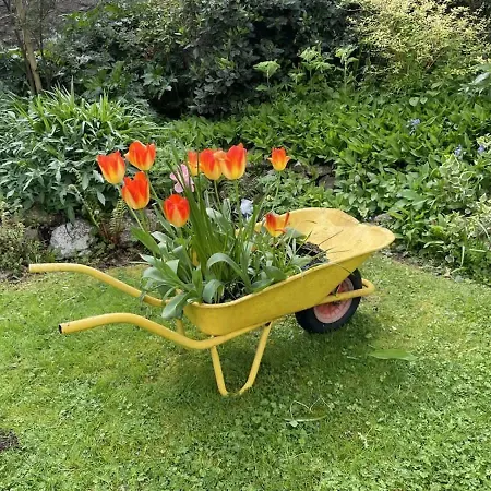 Apartment Cosy And Quiet Garden Flat